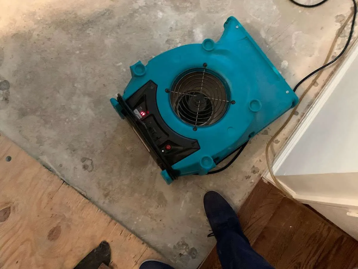 Air mover drying subfloor during Commercial Water Damage Restoration in Sunnyside